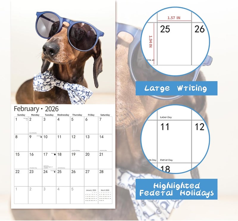 windrio 2026 Wall Calendar,Funny Calendar 2026, November 2025 - December 2026, Wall Calendar Funny Animal Memes, 12" x 24" Opened, Full Page 14 Months Thick Paper for Gift Calendar Organizing Planning - Image 3